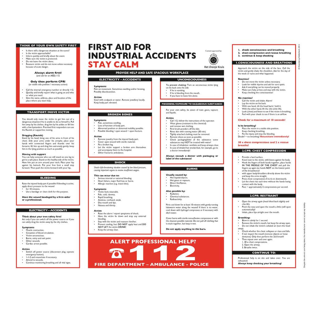 FIRST AID PLAAT 2024 (ENGELS) 390 X 300 MM