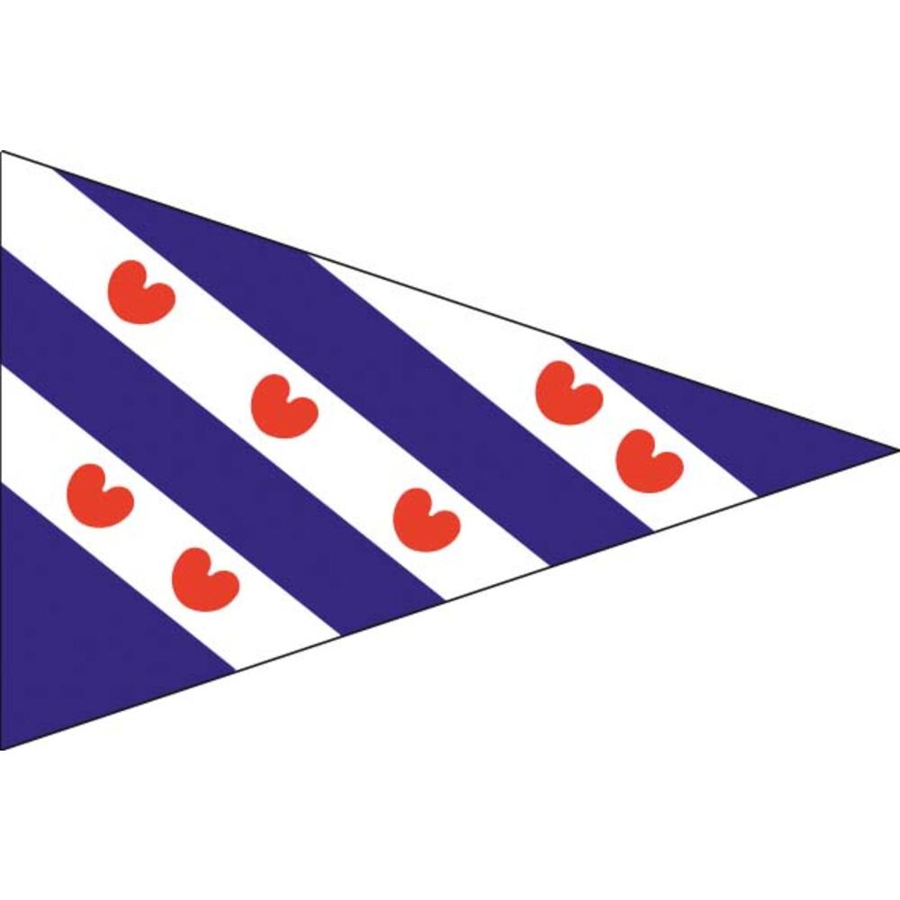 FRIESE PUNTVLAG     20 X 30 CM