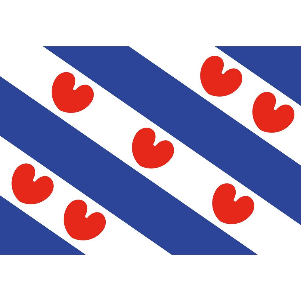 VLAG FRIESLAND      20 X 30 CM