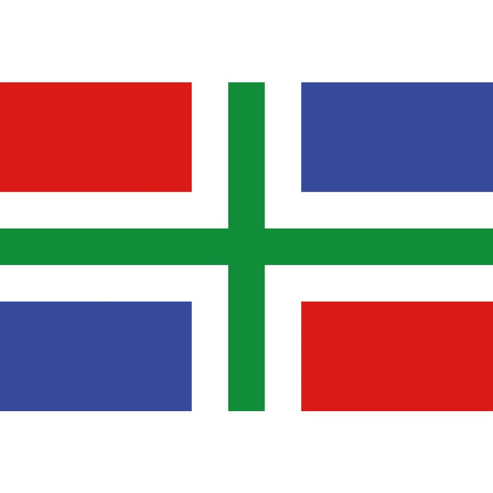VLAG GRONINGEN      20 X 30 CM