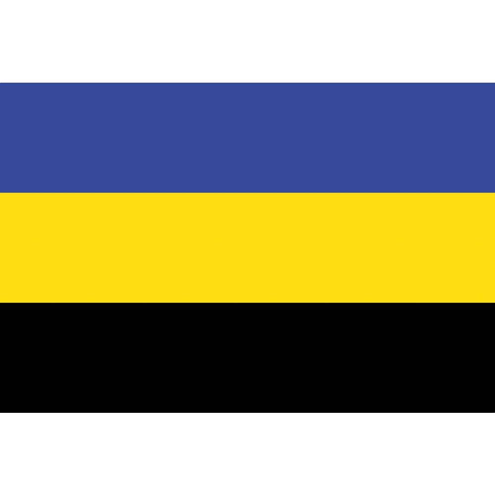 VLAG GELDERLAND     20 X 30 CM