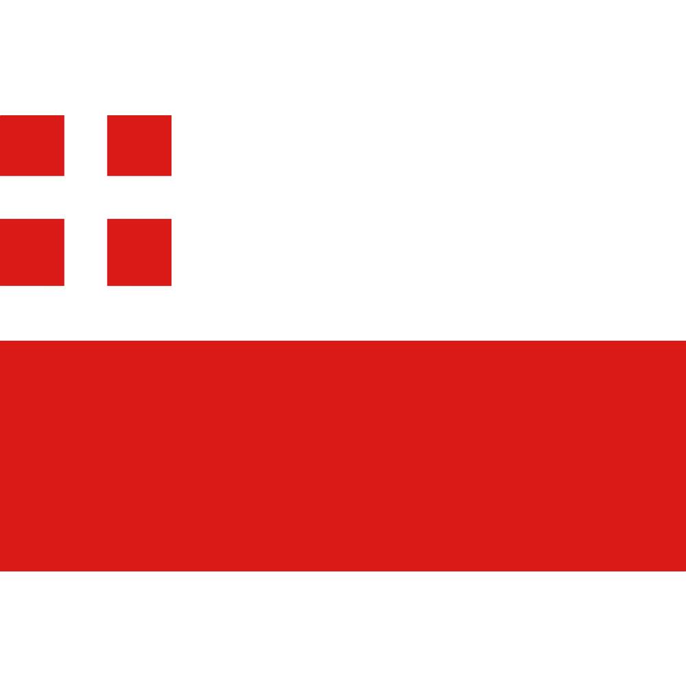 VLAG UTRECHT        20 X 30 CM