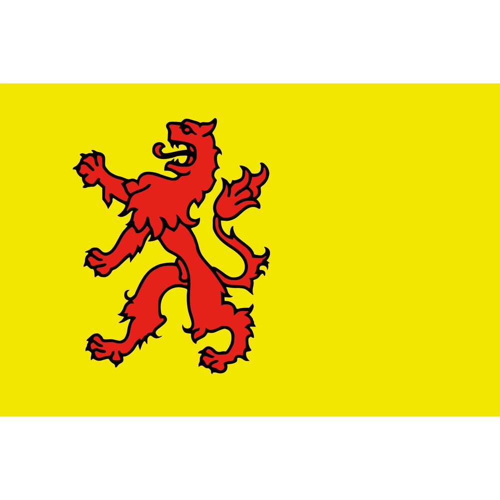 VLAG ZUID-HOLLAND  20 X 30 CM