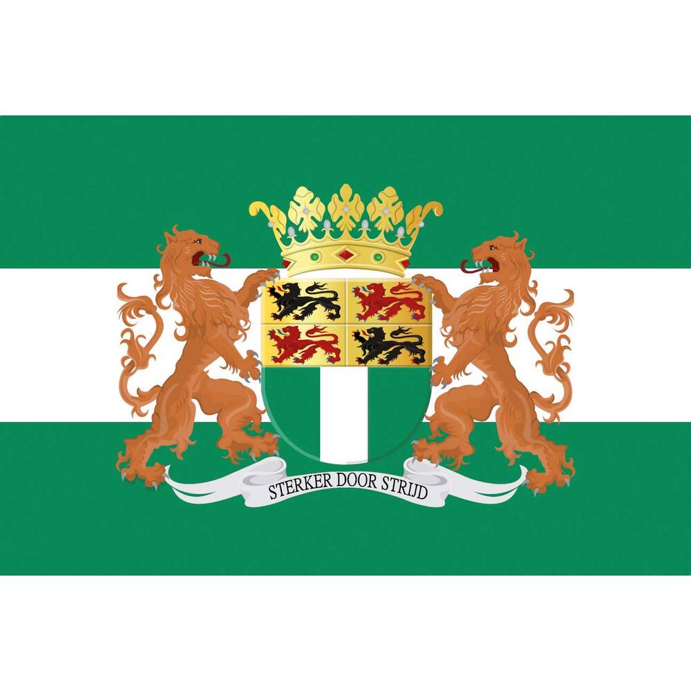 VLAG ROTTERDAM+WAPEN 100X150CM