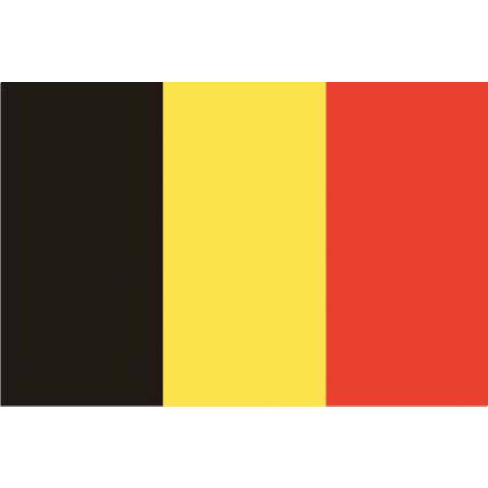 VLAG BELGIE        20 X 30 CM