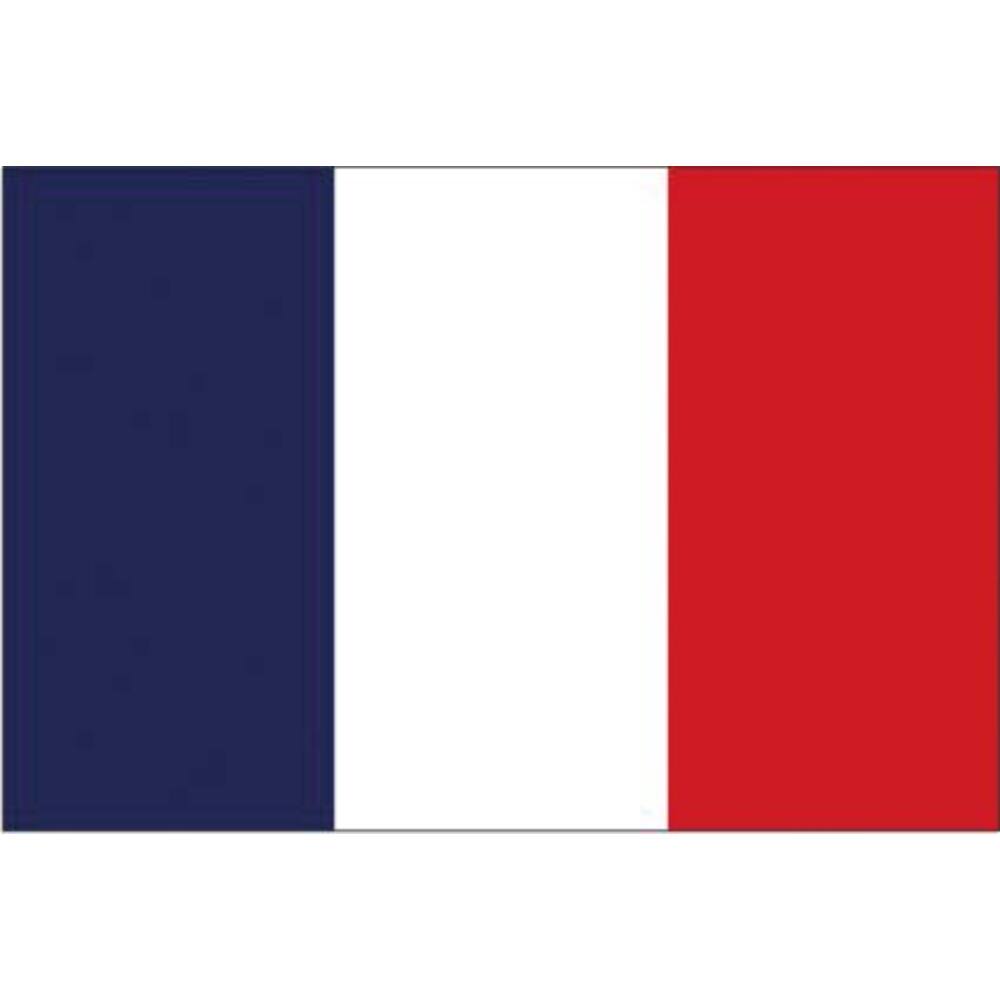 VLAG FRANKRIJK      20 X 30 CM