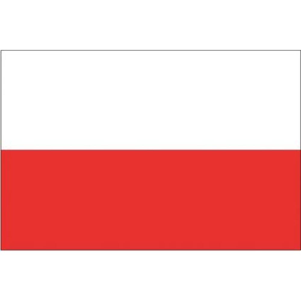 VLAG POLEN          70 X100 CM