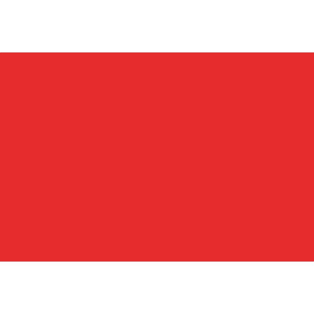 VLAG ROOD              40X60CM