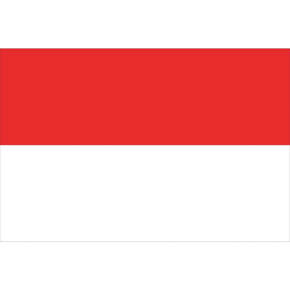 VLAG ROOD - WIT       70X100CM