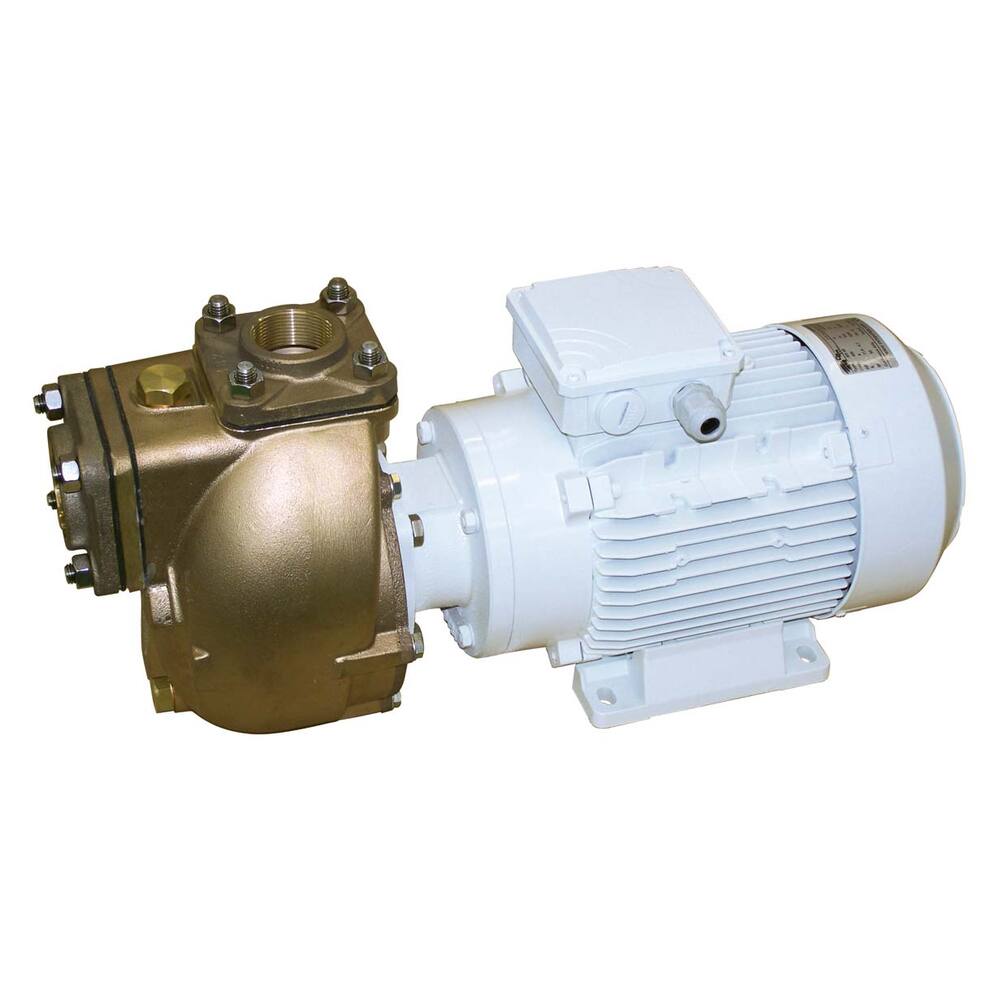 CEM BRONZEN POMP AM 65/1-25T 690V