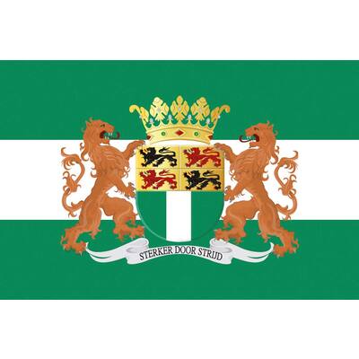 VLAG, ROTTERDAM MET WAPEN